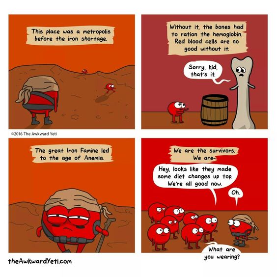 awkward yeti iron deficiency
